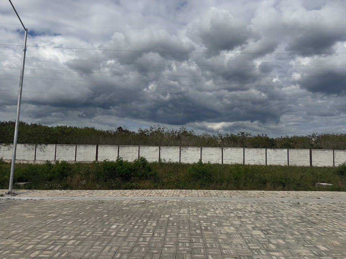 Lote em Temozón Norte, Mérida, foto 2 de 7