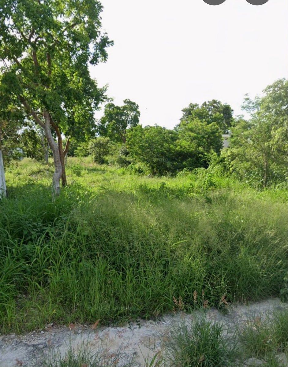 Lote em Real Montejo, Mérida, foto 4 de 6