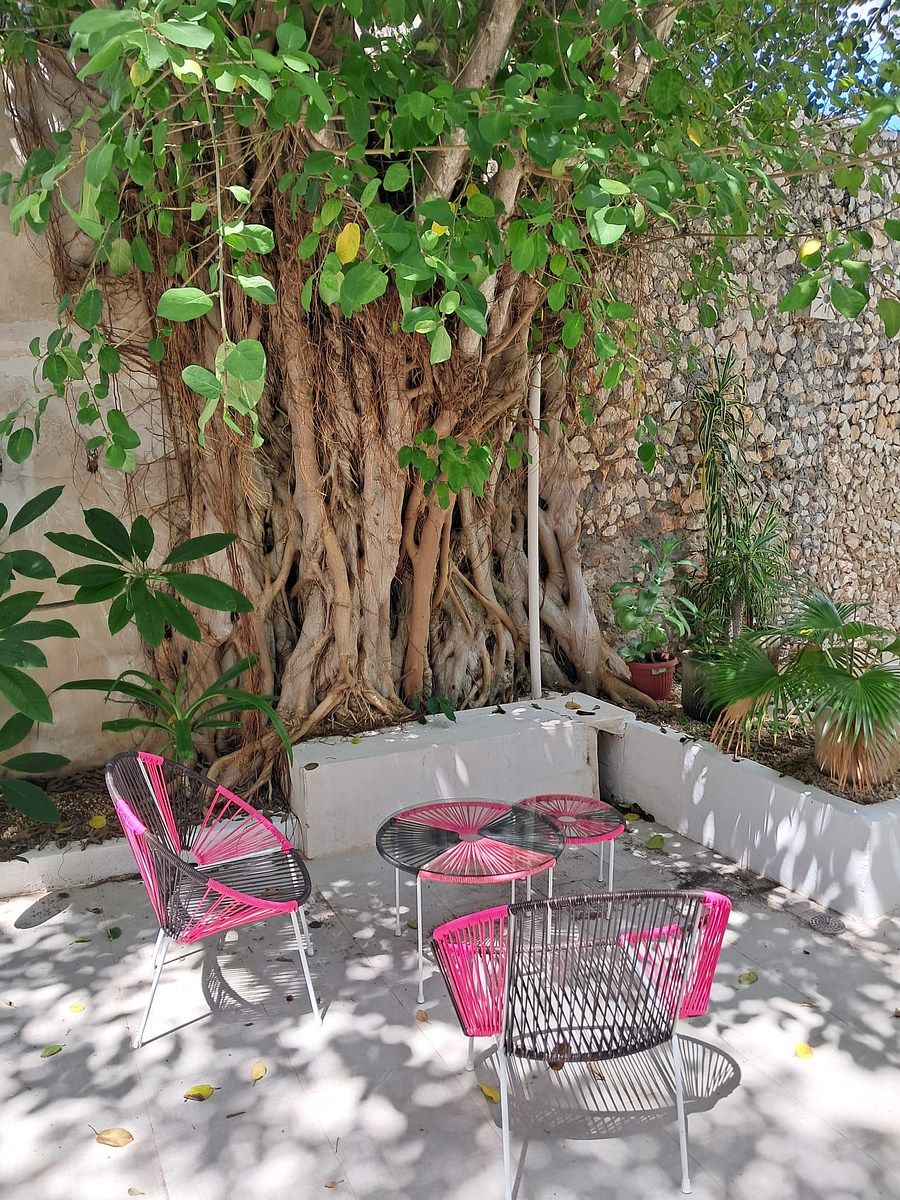 House in Barrio de Santa Ana, Mérida, photo 6 of 17
