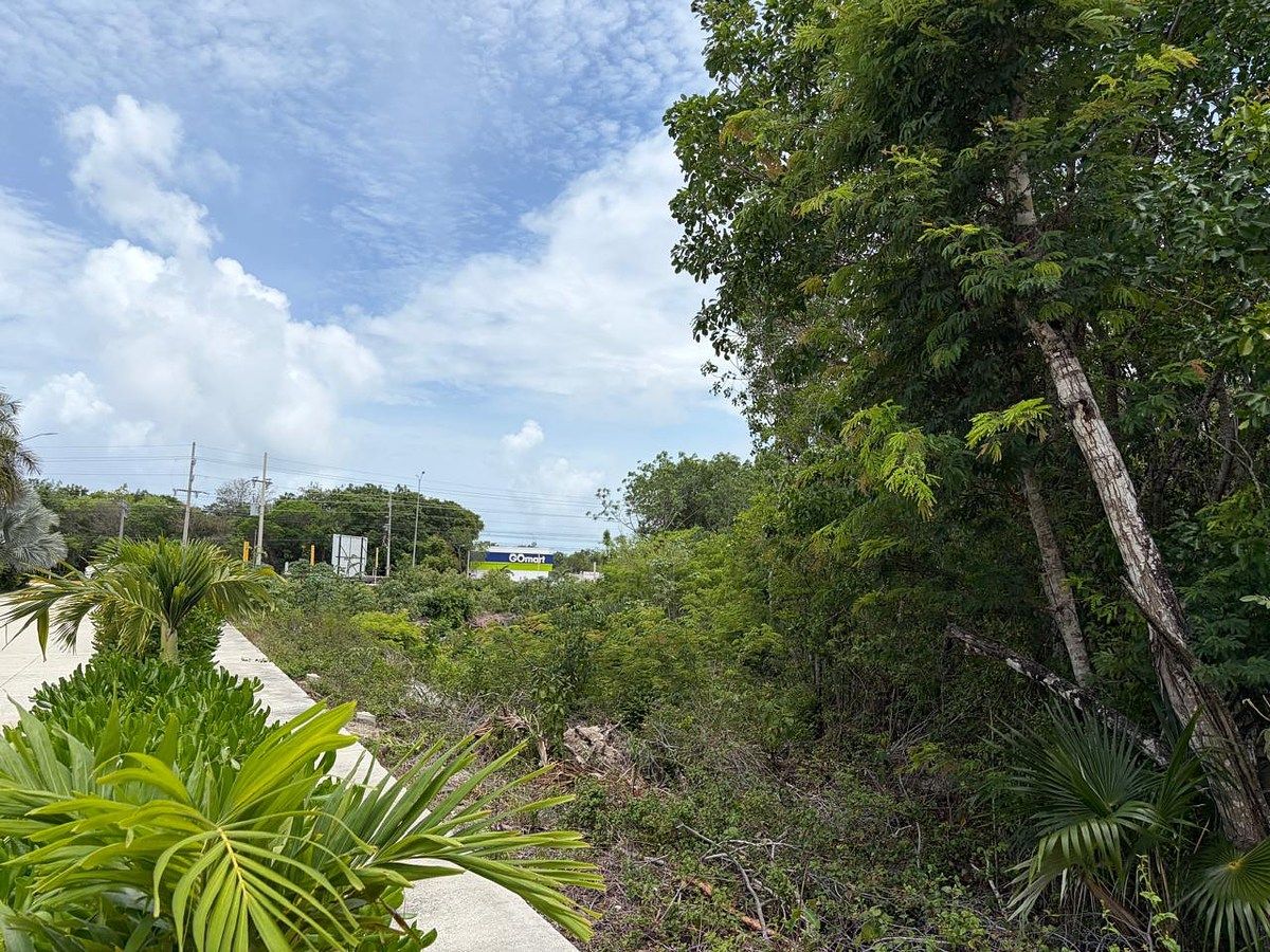 Terreno comercial en Carretera Tulum - Cancún, Tulum, foto 6 de 19