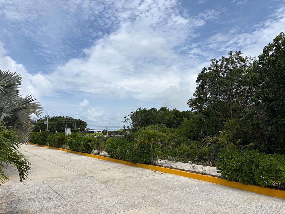 Terreno comercial en Carretera Tulum - Cancún, Tulum, foto 8 de 19