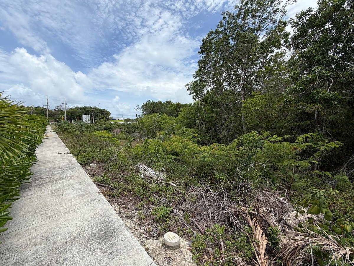 Terreno comercial en Carretera Tulum - Cancún, Tulum, foto 9 de 19