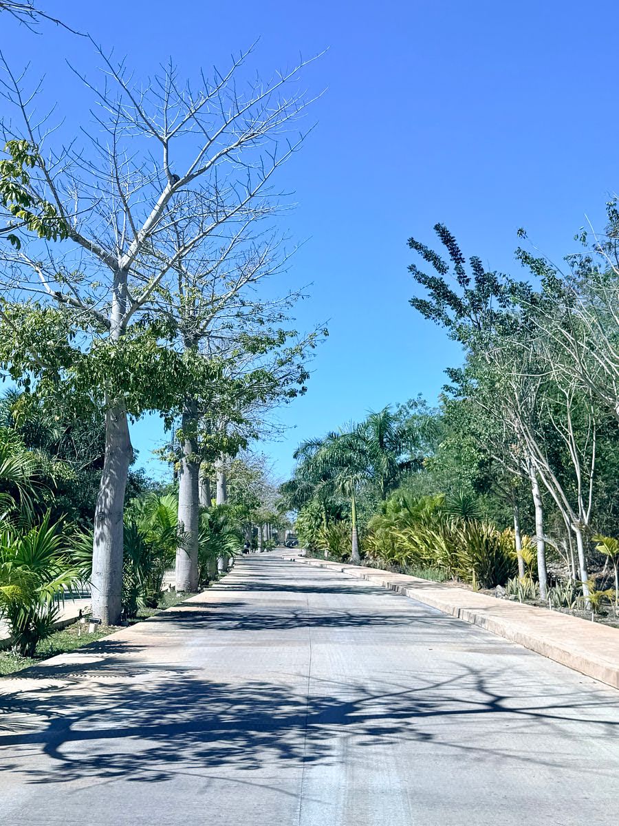 Casa em Residencial Xcanatún, Mérida, foto 38 de 48