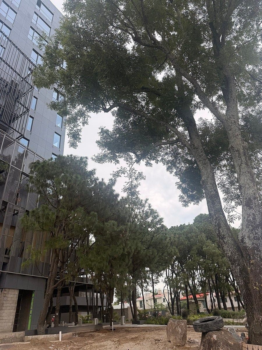 Apartamento em Valle Real, Zapopan, foto 14 de 19
