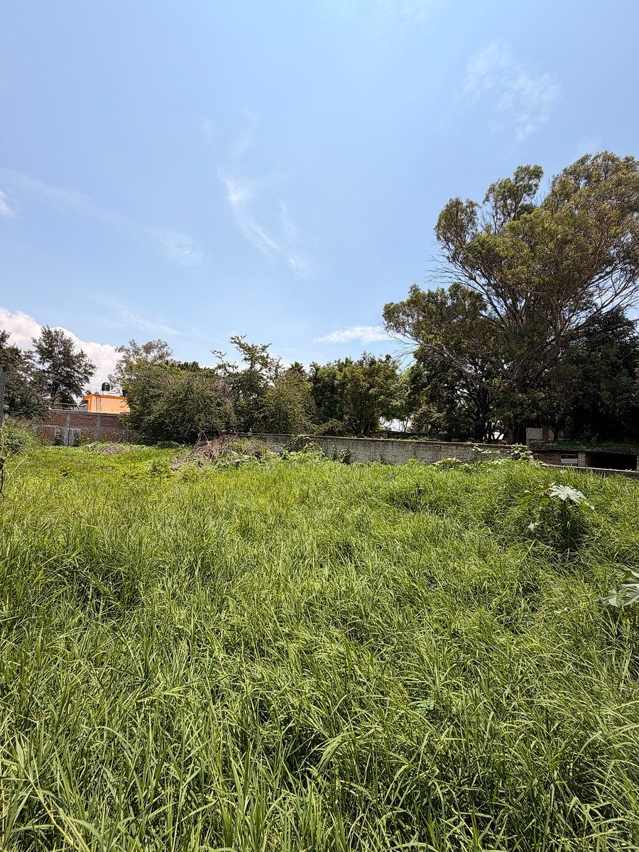 Lote em Las Redes, Chapala, foto 2 de 17