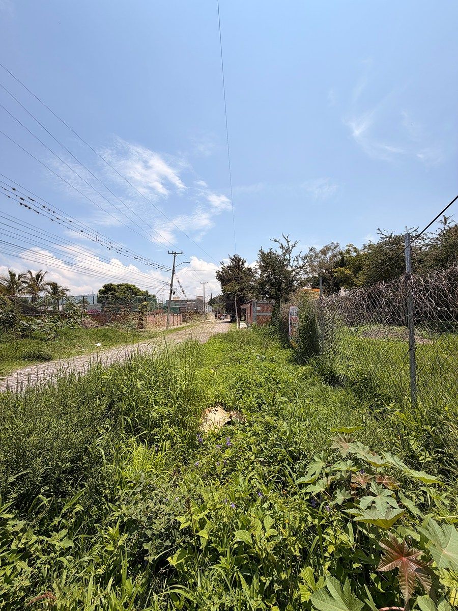 Lote em Las Redes, Chapala, foto 7 de 17