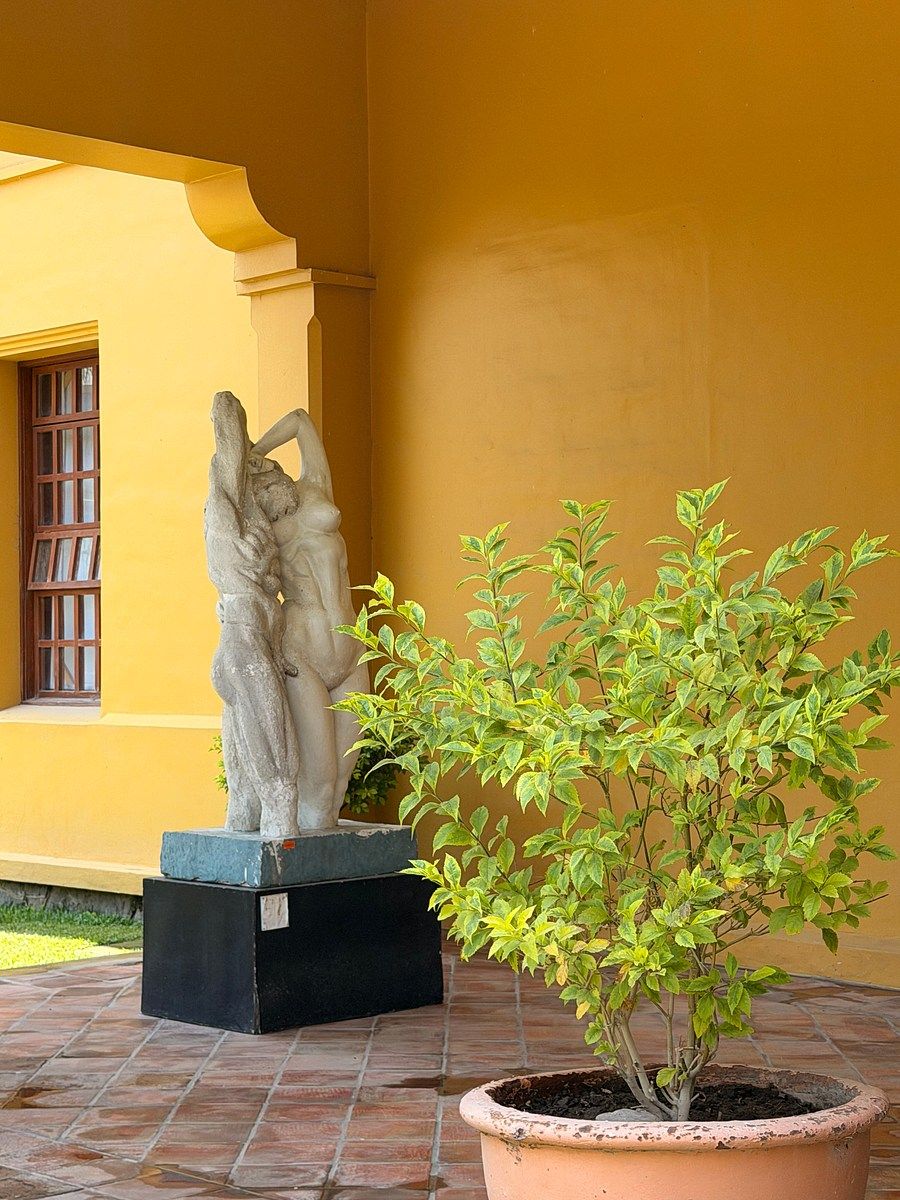 Lote em Las Redes, Chapala, foto 11 de 17