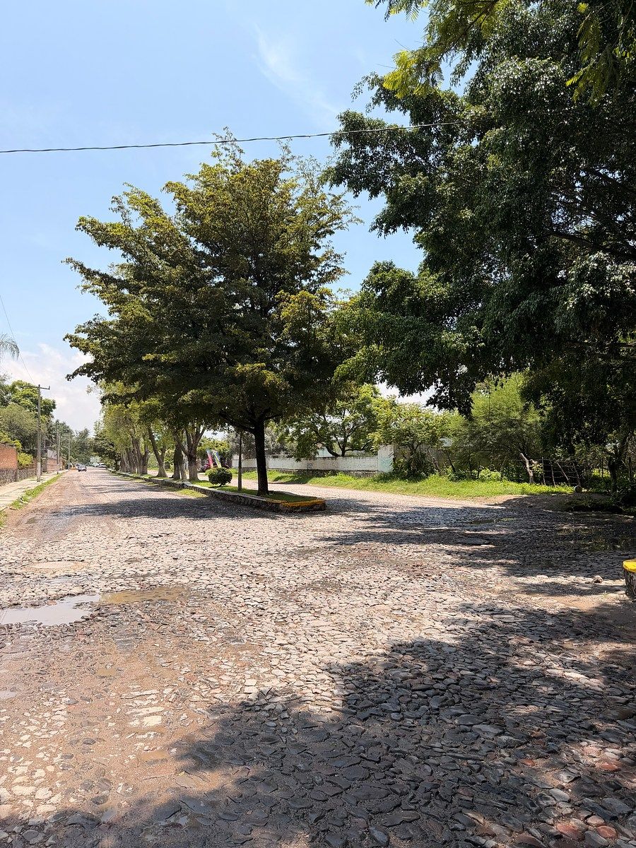 Lote em Las Redes, Chapala, foto 17 de 17