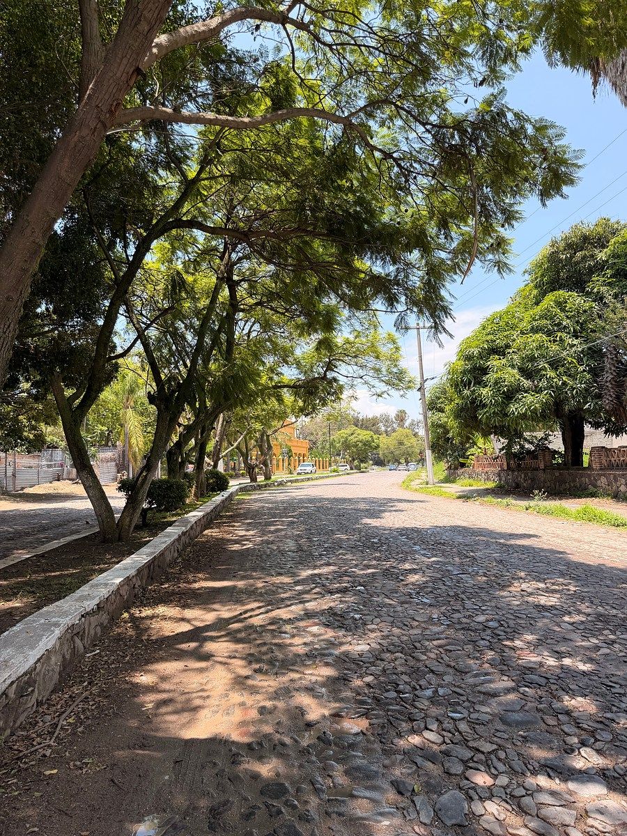 Lote em Las Redes, Chapala, foto 16 de 17