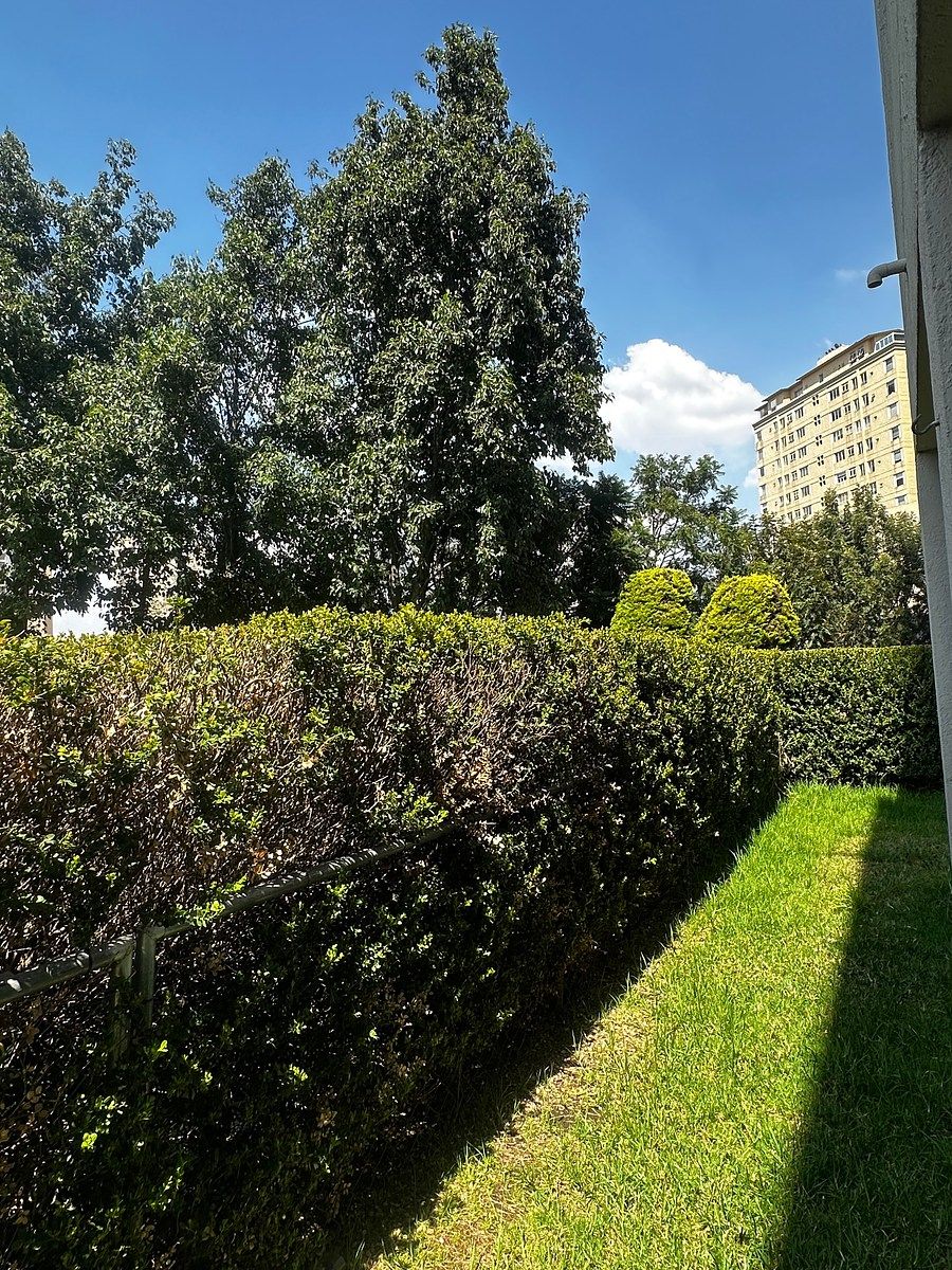 Apartment in Bosque Real, Huixquilucan, photo 18 of 20