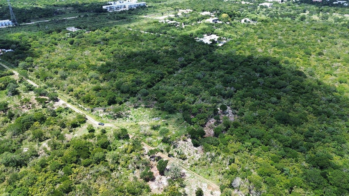 Terreno en Temozón Norte, Mérida, foto 3 de 8