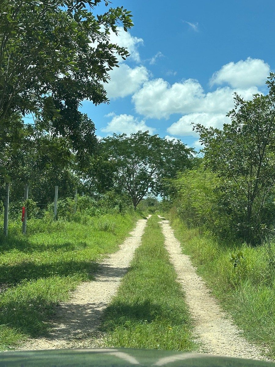 Terreno en Temozón Norte, Mérida, foto 5 de 8