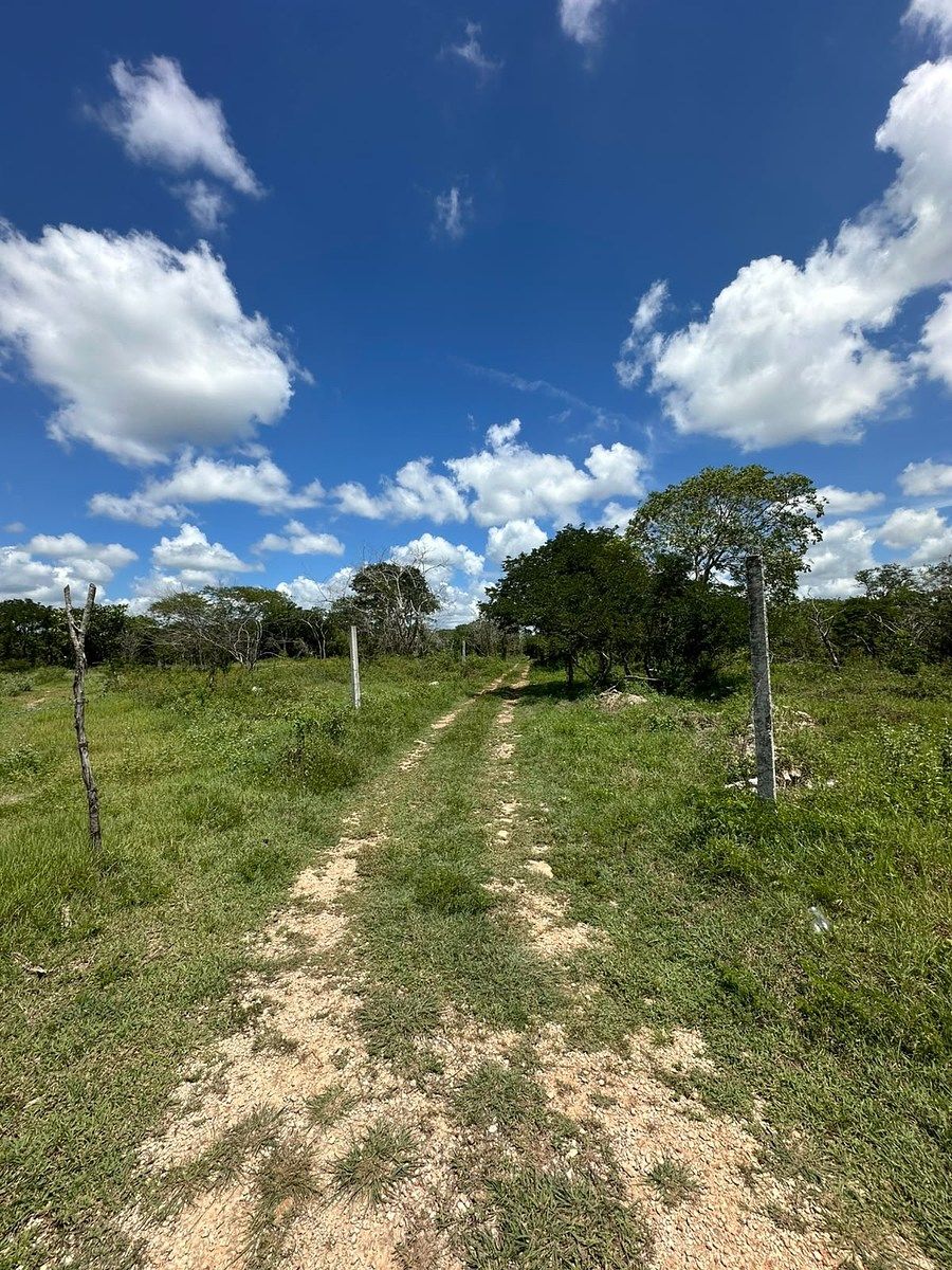 Terreno en Temozón Norte, Mérida, foto 7 de 8