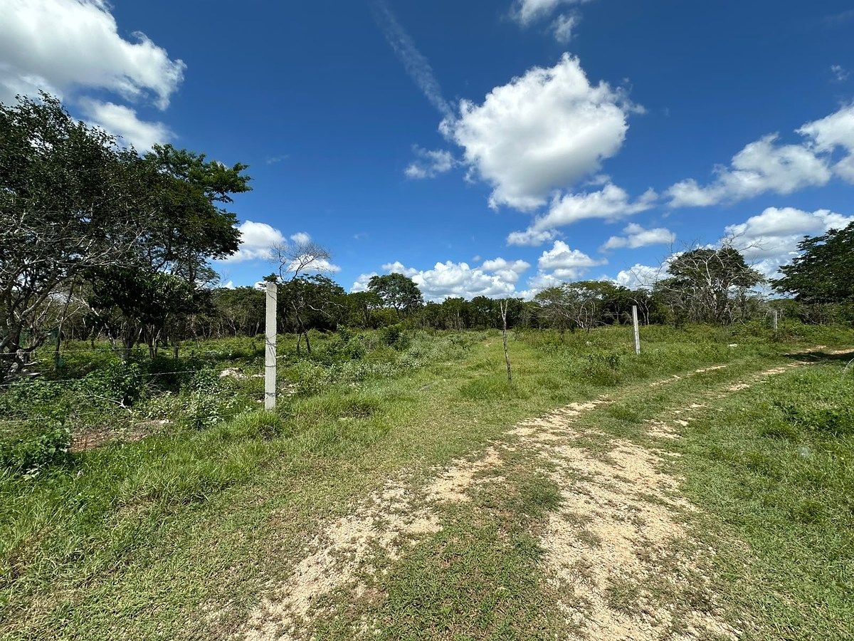Terreno en Temozón Norte, Mérida, foto 8 de 8