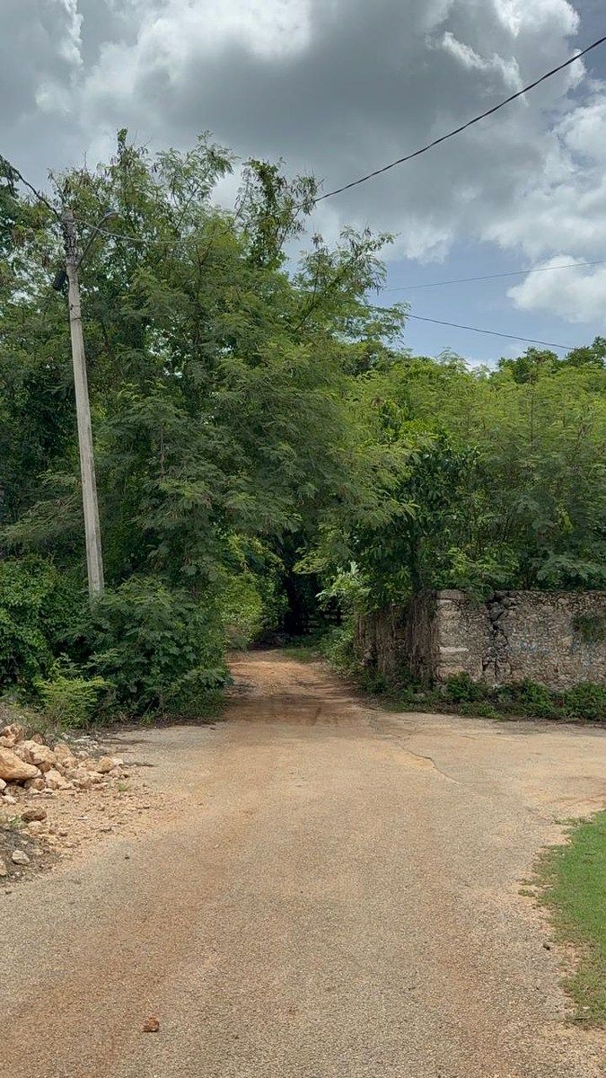 Lote em Dzitnup, Valladolid, foto 3 de 6