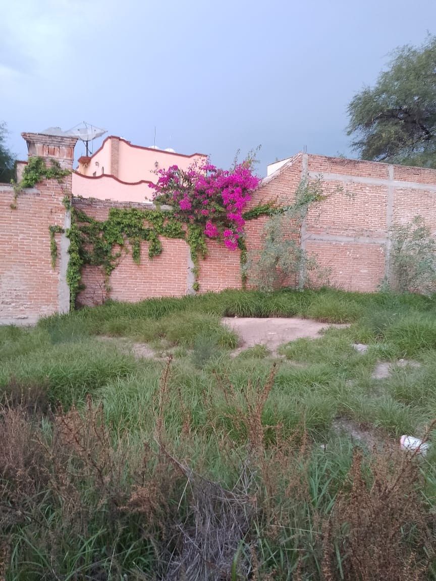 Lote em Centro, San Juan del Río, foto 4 de 6