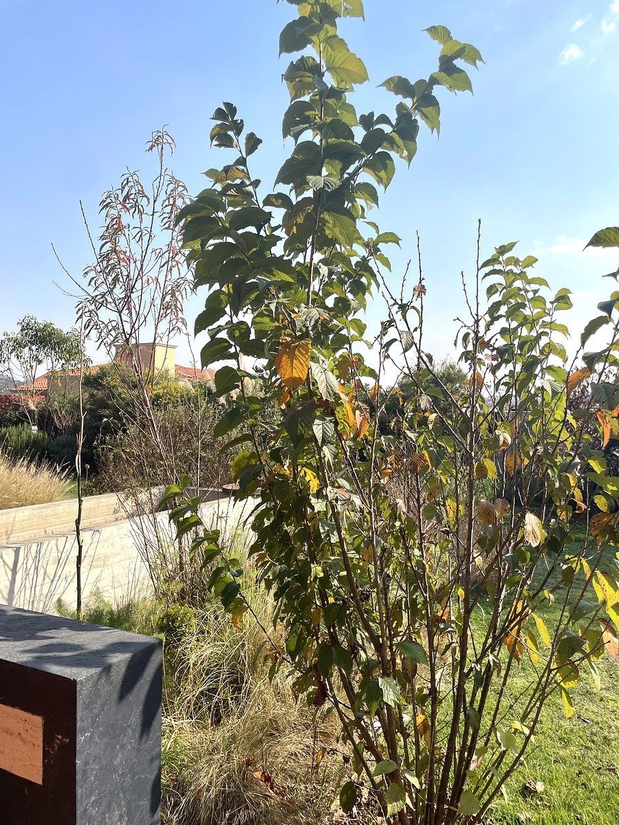 Casa en Club de Golf Valle Escondido, Atizapán de Zaragoza, foto 24 de 47