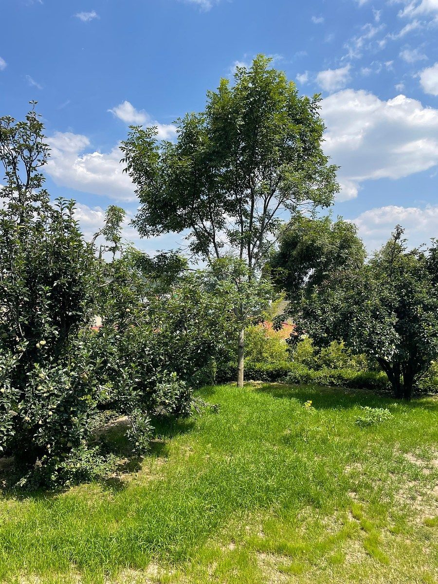 Casa en Club de Golf Valle Escondido, Atizapán de Zaragoza, foto 31 de 31