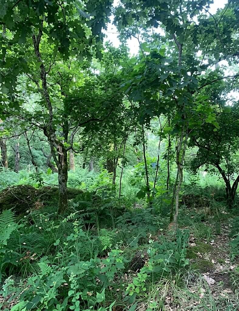 Lote em Portales de Santiago, Santiago, foto 4 de 10