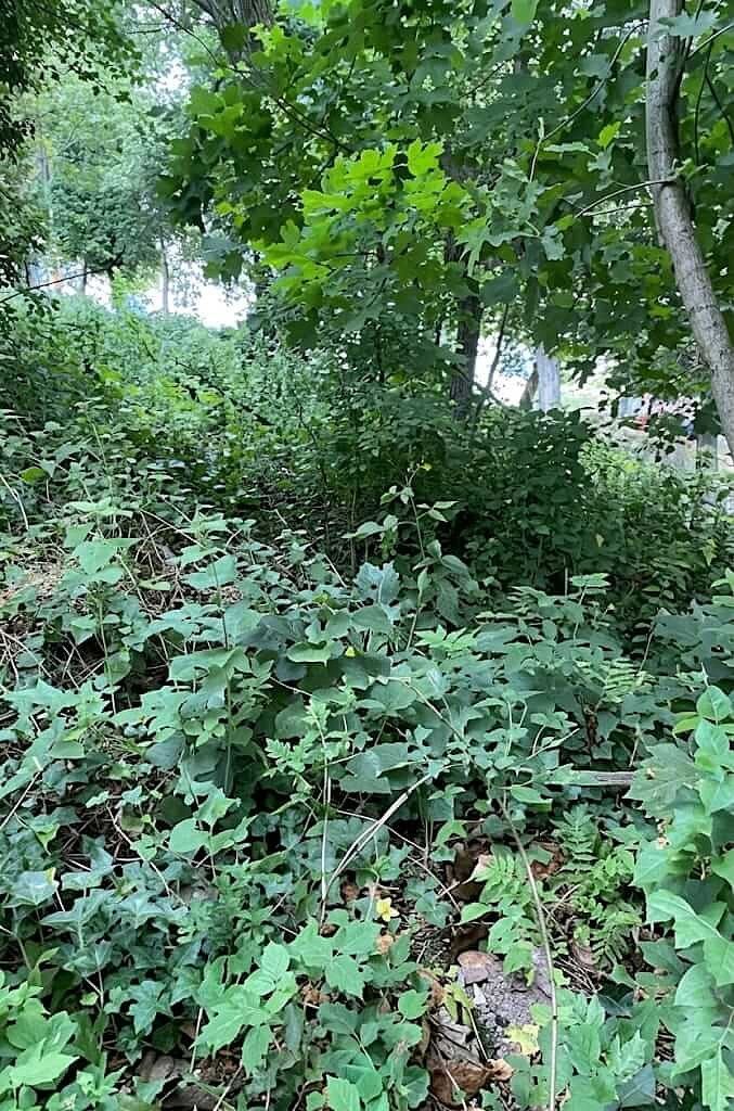 Lote em Portales de Santiago, Santiago, foto 7 de 10