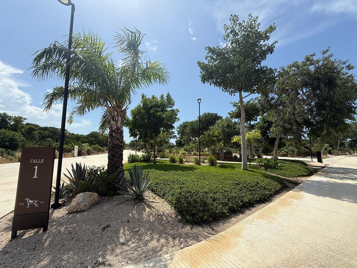 Lote em Dzidzilché, Mérida, foto 6 de 29