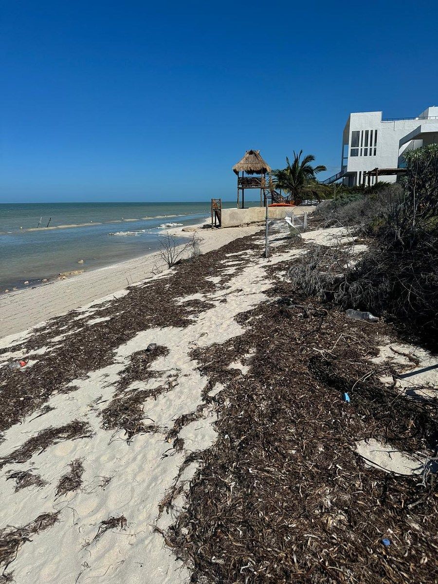 Terreno en San Benito, Dzemul, foto 6 de 11