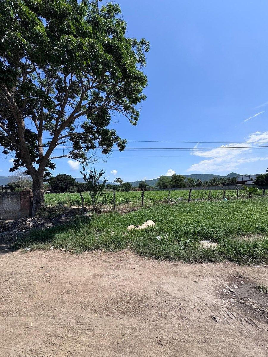 Commercial land for rent in Autlán, photo 1 of 5