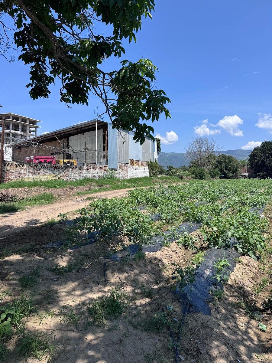 Lot in Autlán de Navarro Centro, Autlán de Navarro, photo 3 of 5