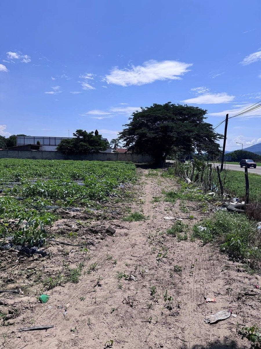 Lot in Autlán de Navarro Centro, Autlán de Navarro, photo 2 of 5