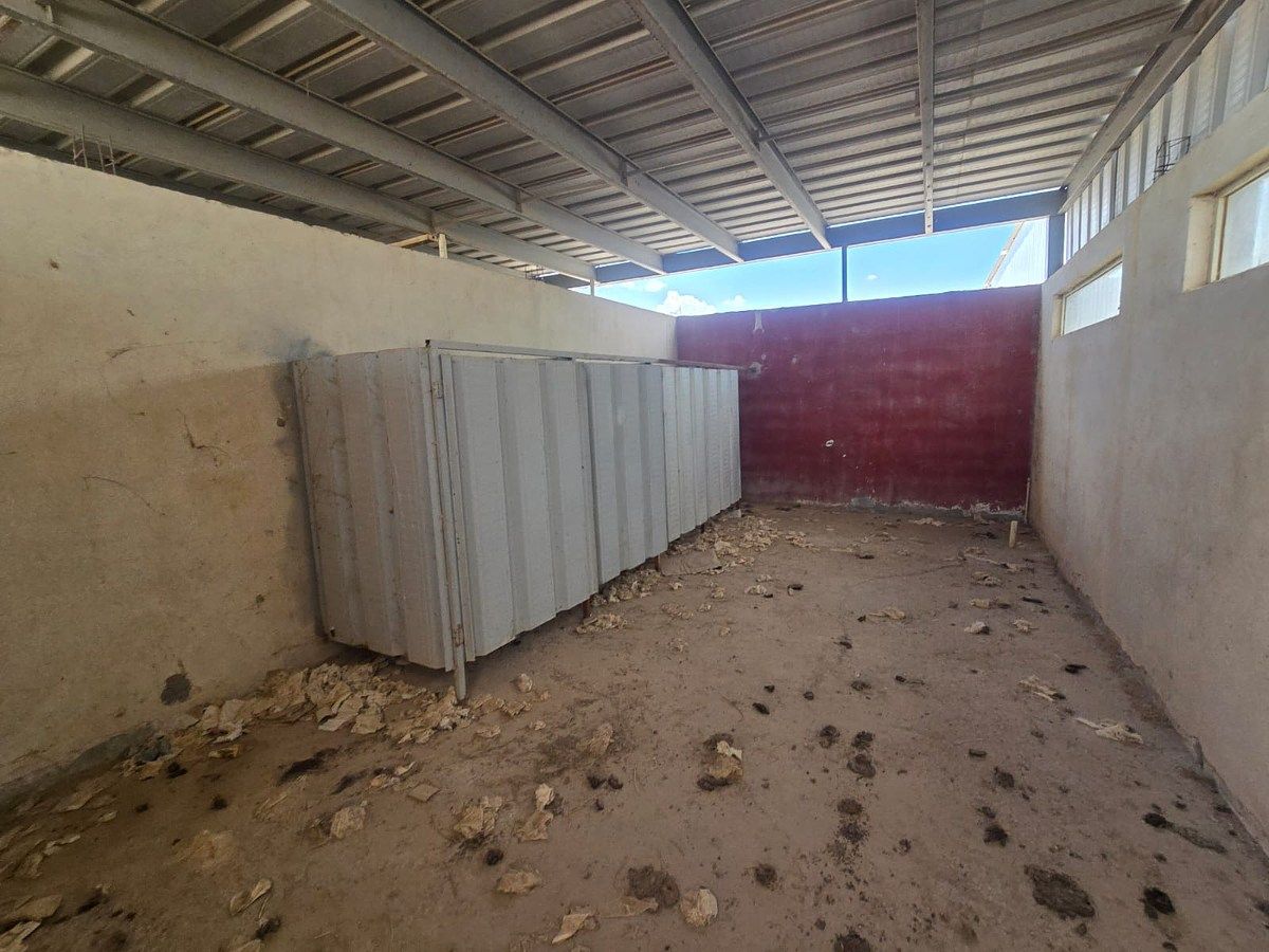 Industrial Warehouse in Ejidal, Gómez Palacio, photo 7 of 13