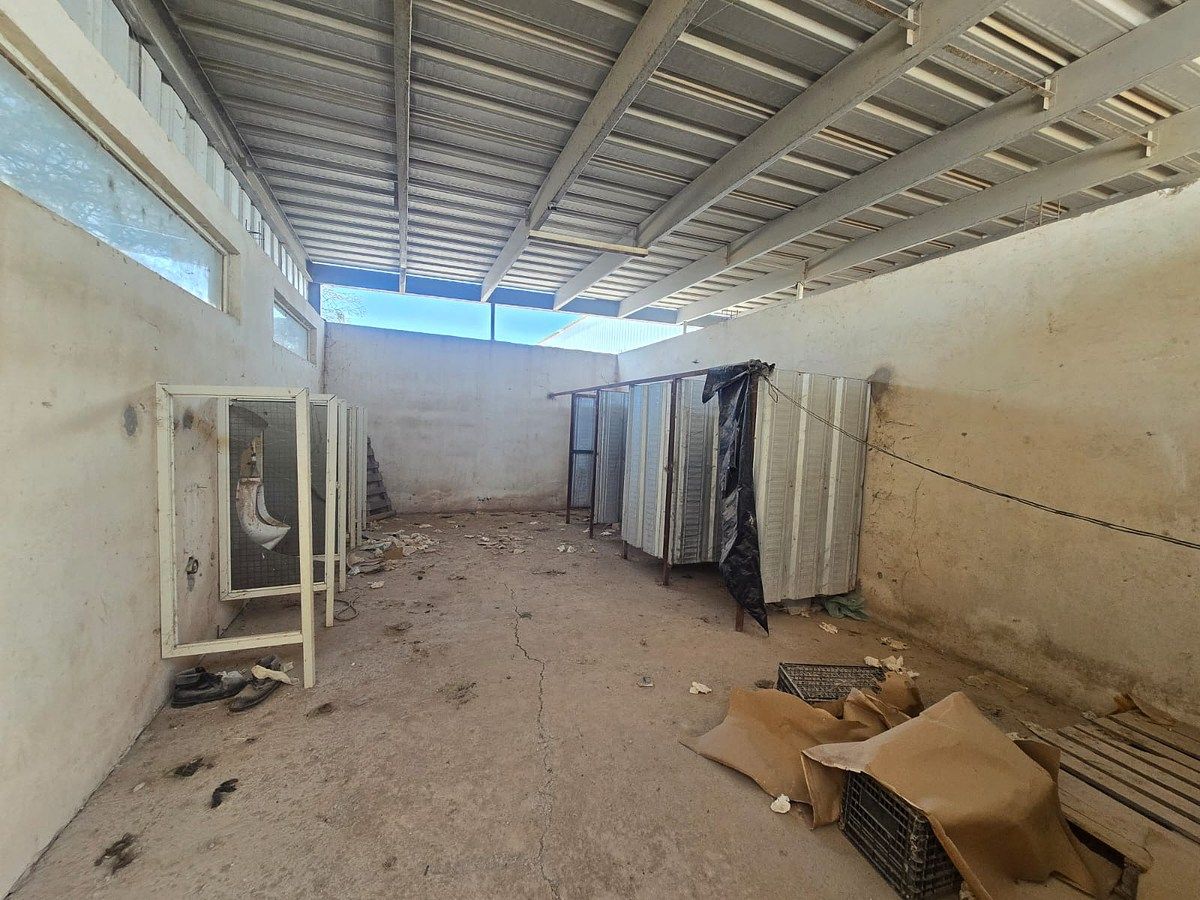 Industrial Warehouse in Ejidal, Gómez Palacio, photo 6 of 13