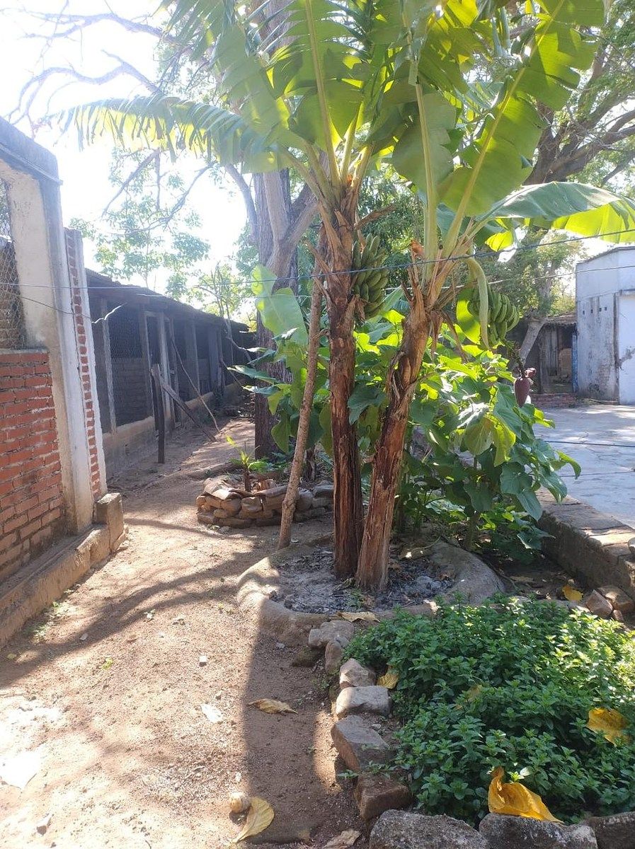 Casa en Cuauhtémoc, Villaflores, foto 15 de 18
