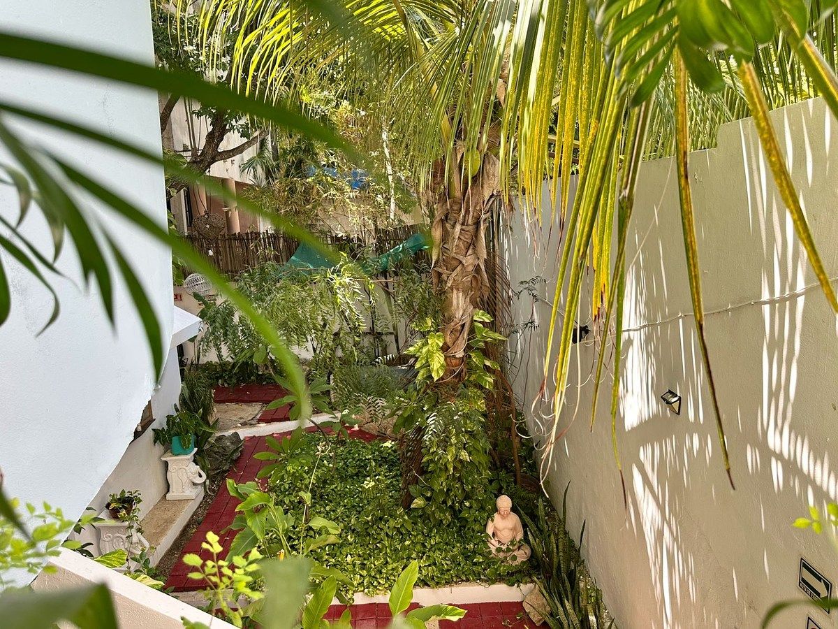 Edificio en Luis Donaldo Colosio, Playa del Carmen, foto 5 de 15