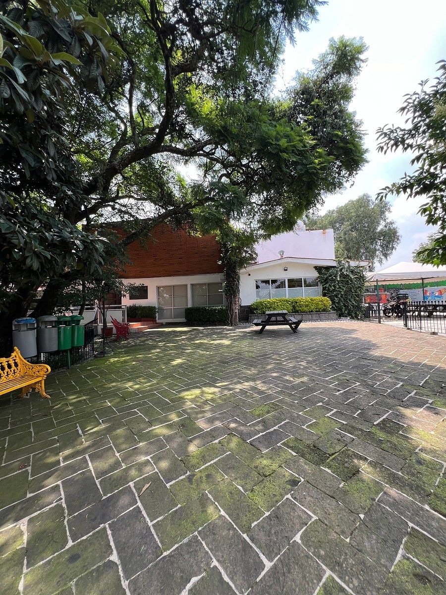 Casa com uso comercial em Jardines del Pedregal, Álvaro Obregón, foto 2 de 21