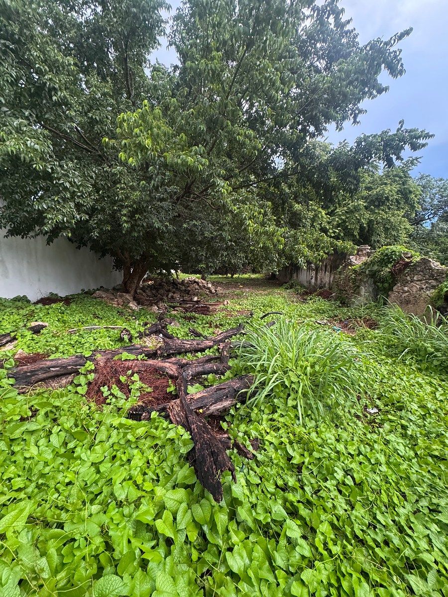 LAND FOR SALE COLONIA ITZIMNA, MÉRIDA, YUCATÁN, photo 1 of 7