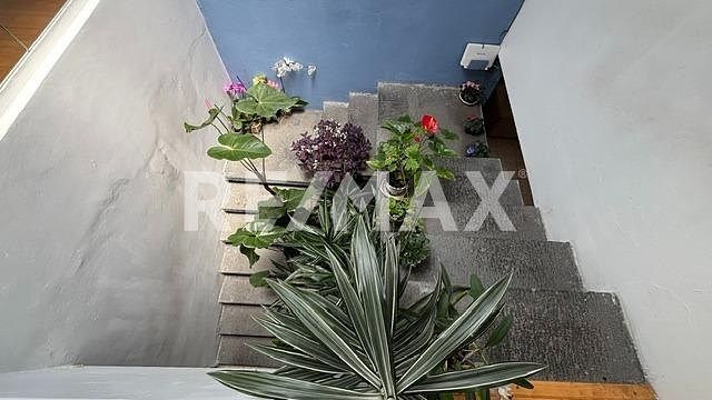 House in Unión, Toluca, photo 4 of 25