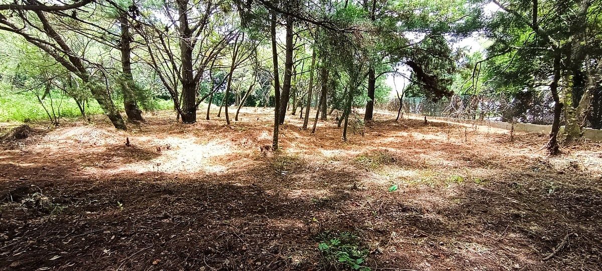 Terreno en VENTA en Casa y Campo