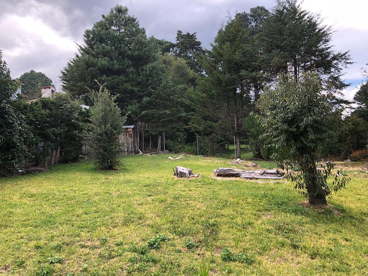 TERRENO CON CABAÑA EN VENTA EN LA QUINTA SAN MARTIN, foto 1 de 35