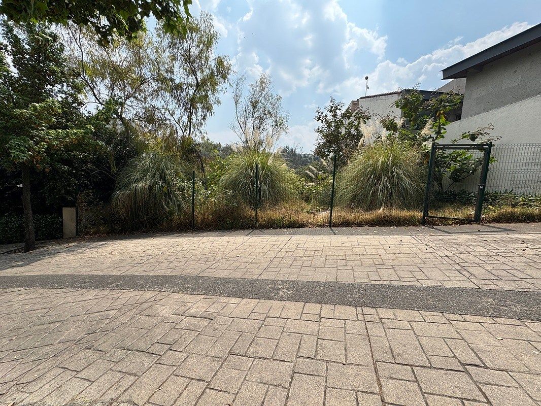 Terreno en Lomas de Bezares, Miguel Hidalgo, foto 3 de 28