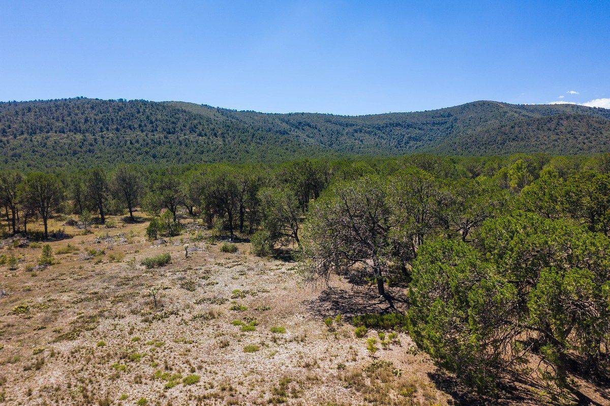 Lot in Los Llanos, Arteaga, photo 9 of 12