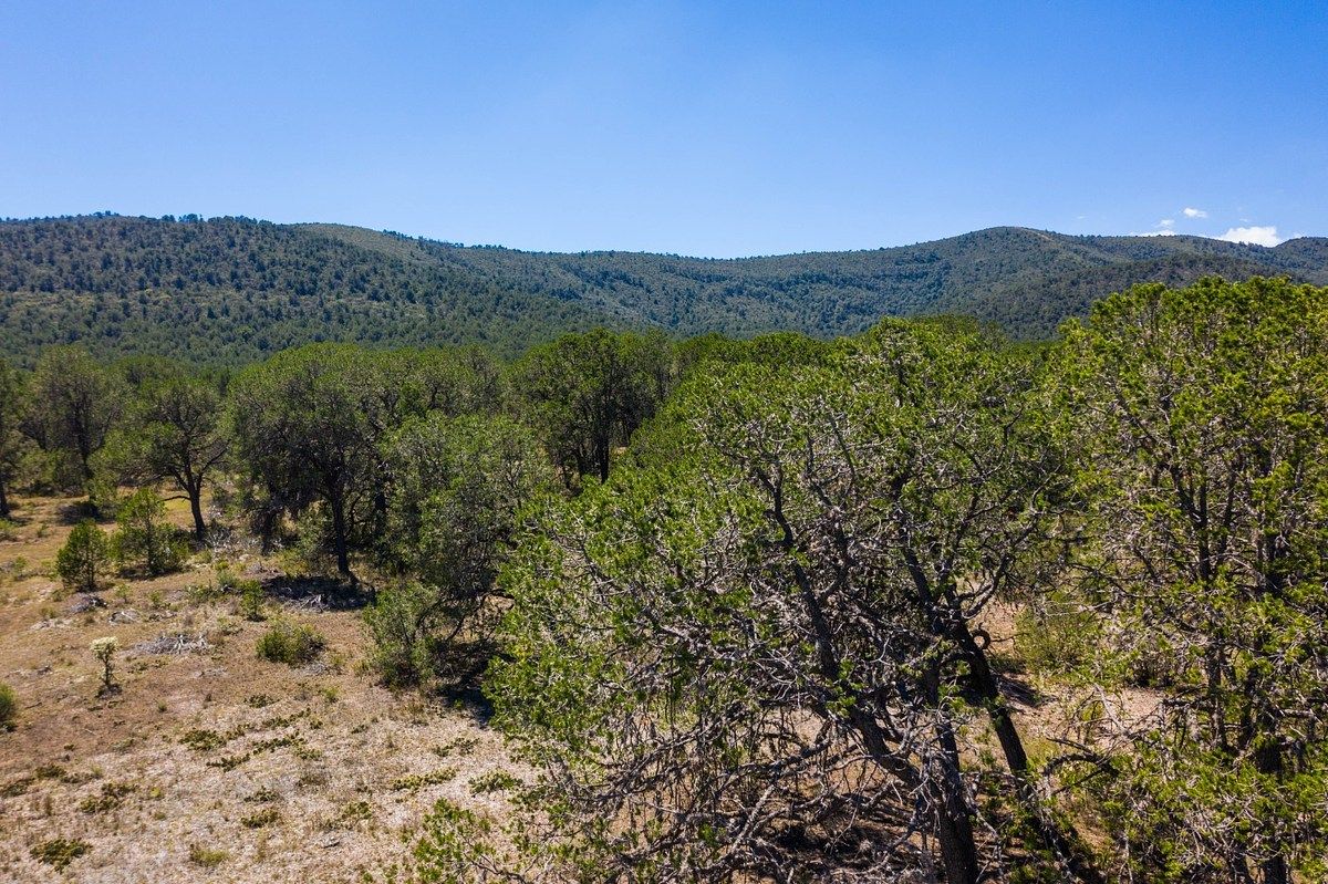 Lot in Los Llanos, Arteaga, photo 10 of 12