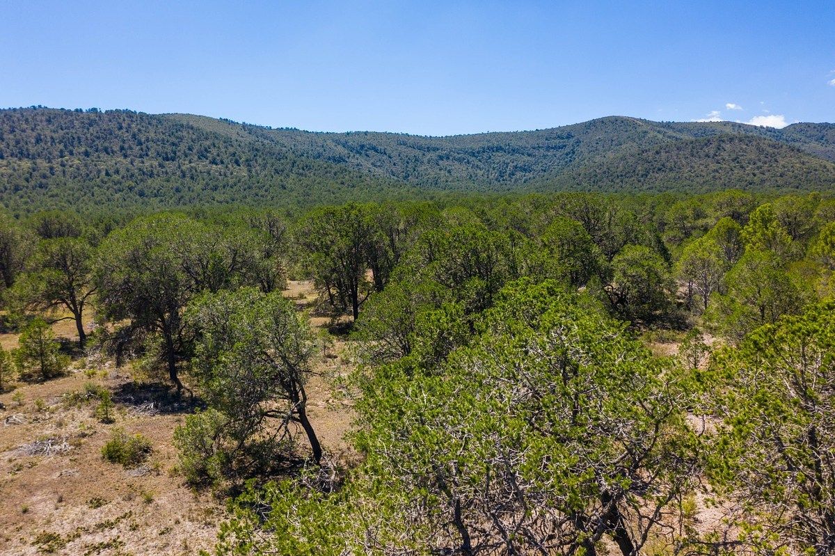 Lot in Los Llanos, Arteaga, photo 12 of 12