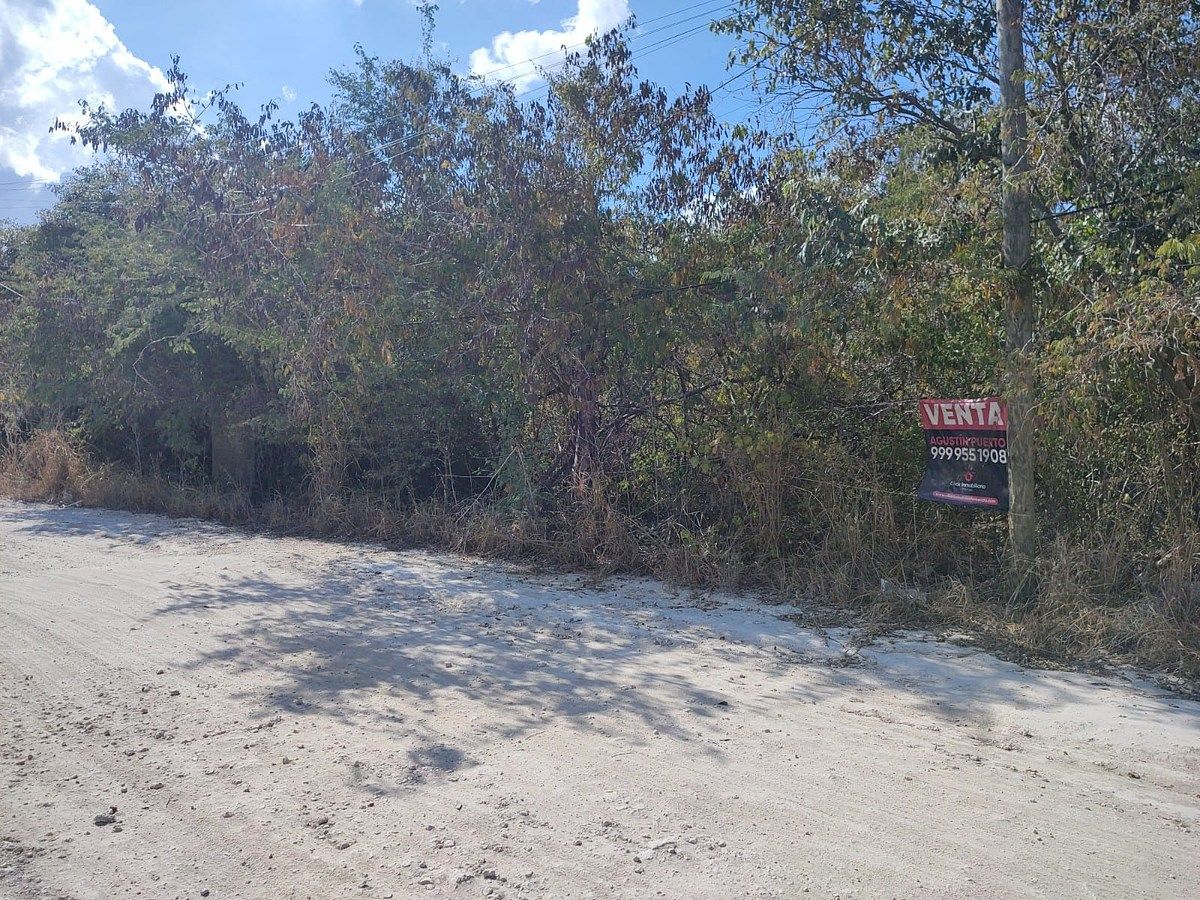 Lot in Cholul, Mérida, photo 5 of 20