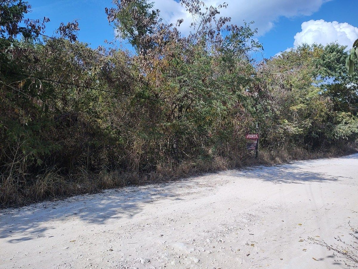 Lot in Cholul, Mérida, photo 10 of 20
