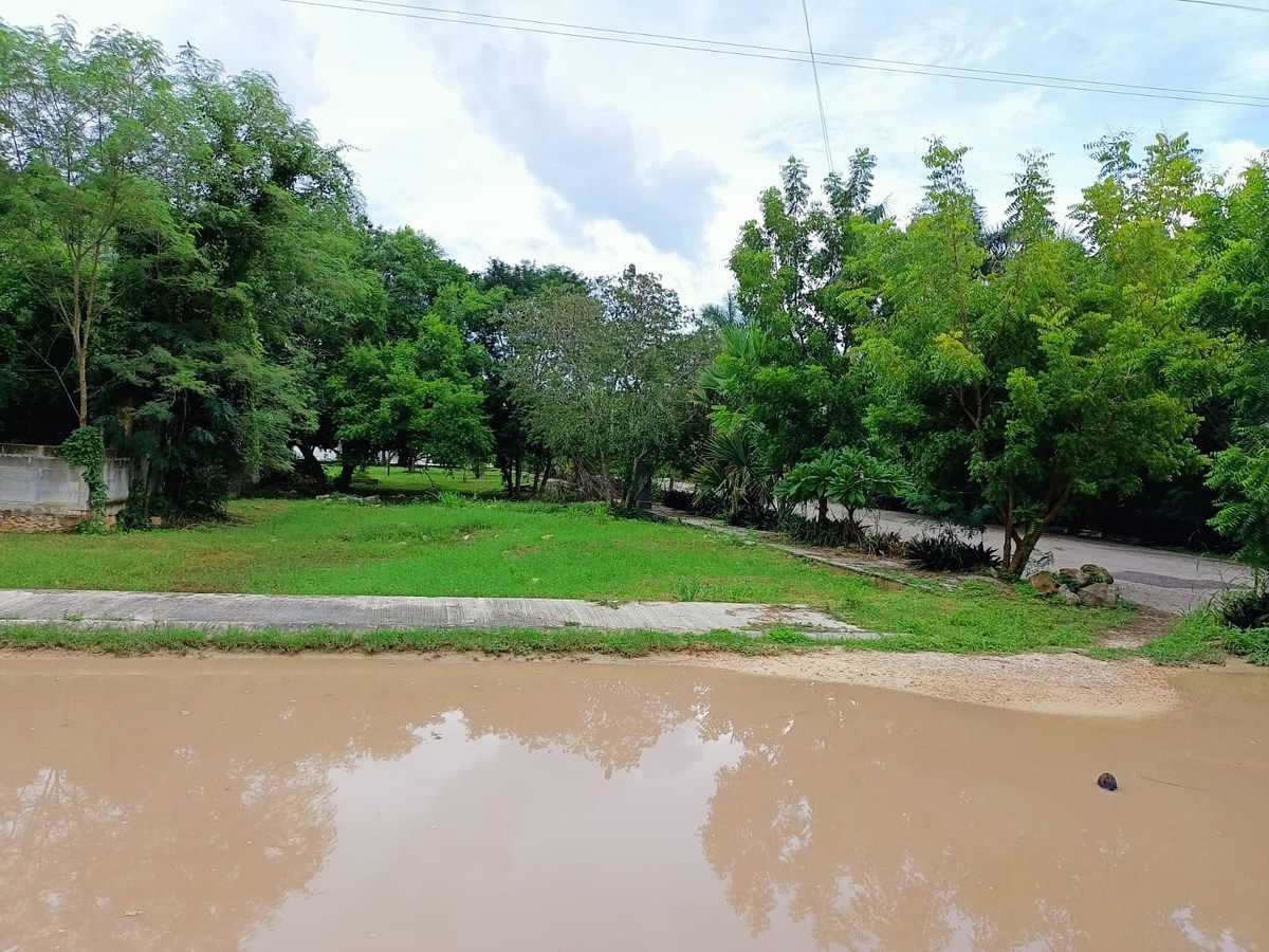 Lot in Cholul, Mérida, photo 14 of 20