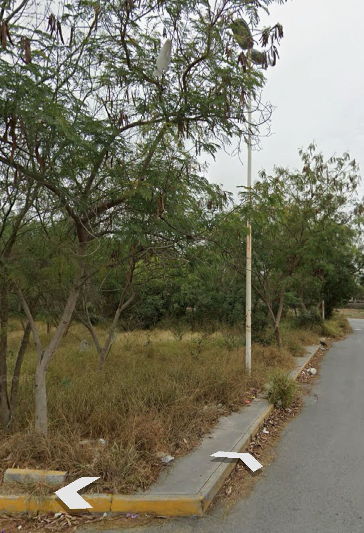 Terreno comercial en Benito Juárez Centro, Juárez, foto 4 de 5