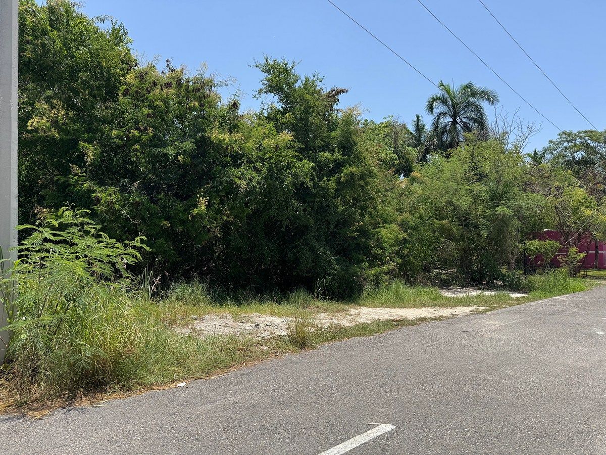 Terreno en Tamanché, Mérida, foto 8 de 11