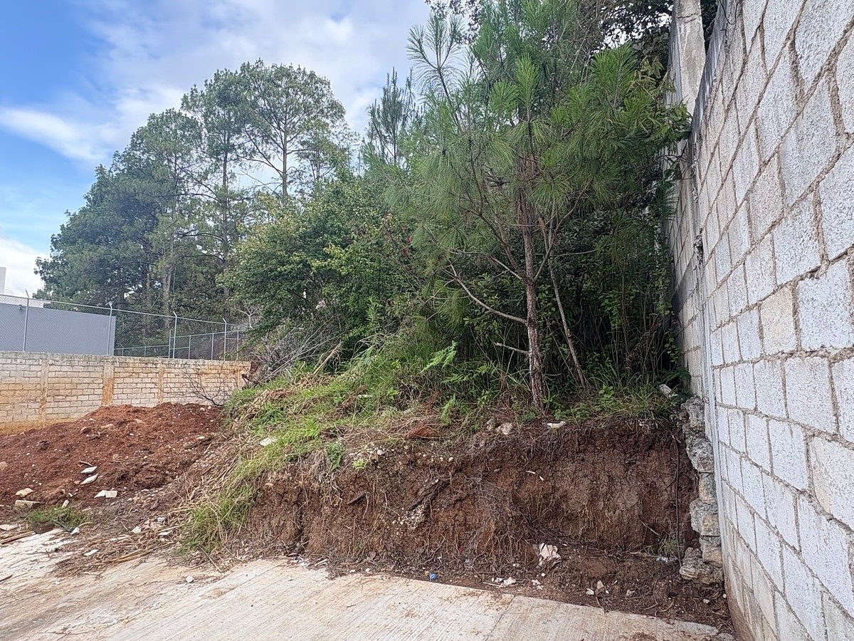 Lot in La Cañada, San Cristóbal de Las Casas, photo 4 of 11