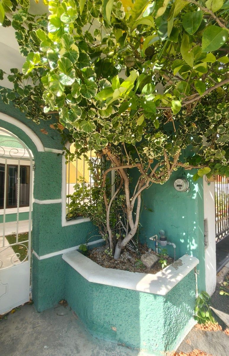 Casa em Francisco de Montejo, Mérida, foto 4 de 22