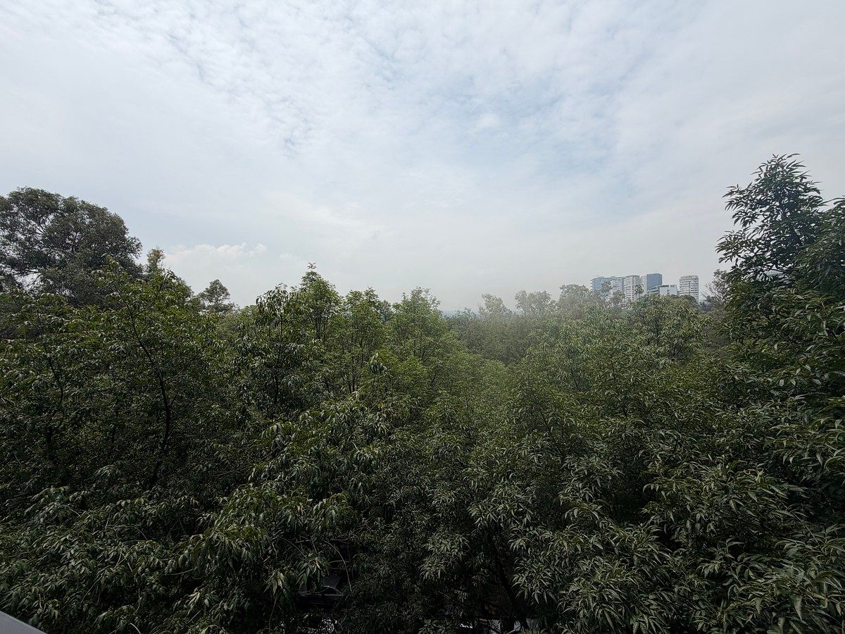 Apartamento em Polanco V Sección, Miguel Hidalgo, foto 15 de 17